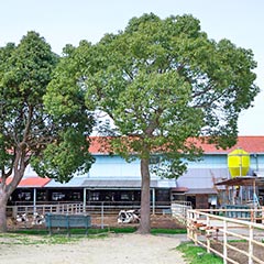 淡路島牧場