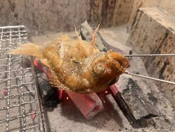高級魚のどぐろを料理人が丁寧に炉端の炭火で調理しております