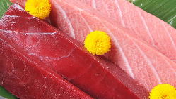 【インドマグロ】日本海の天然マグロはほどよい脂で上品な味わい
