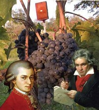 【モーツァルトを聴いて育ったワイン】は深い味わい フィレンツェ大学研究結果