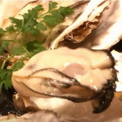 プリプリ牡蠣とホタテが美味しすぎる！貝専門店「貝や しるひ」