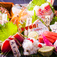 毎日特価！天然鮮魚のお造り五種盛りが１人前５９０円！