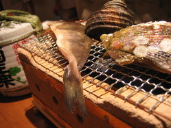 めっちゃ新鮮なお魚を炭火と七輪でお楽しみ下さい。