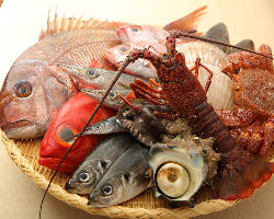 漁港直送ものや豊洲直送鮮魚。食材全てにかなりのこだわり。