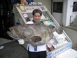 沖縄の色鮮やかな魚達を おいしく召し上がれます！