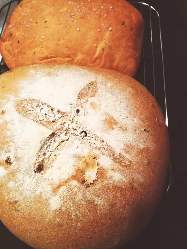 霧島の無農薬の小麦粉のパンは自家製。毎日焼き上げます。