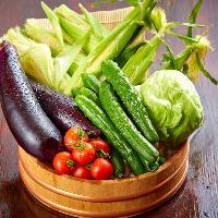 【野菜】 地元沖縄で採れた鮮度抜群の野菜をふんだんに使用
