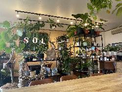 Botanical cafe SOL̎ʐ^3