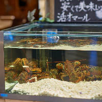 OTTIMO Seafood garden YOKOHAMA ~llX̎ʐ^13
