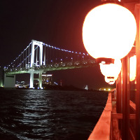 [非日常の世界を堪能] 船上から眺める四季折々の東京の美景