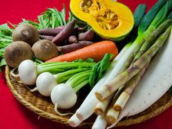 国内産野菜 有機栽培もしくは減農薬の国内産野菜を使用