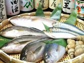 ★静岡港直送鮮魚★地元でも入荷量一の老舗の店舗から毎日入荷