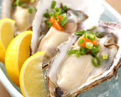 日本一とも言われるプリップリの 厚岸産殻付生牡蠣は一ケ490円♪