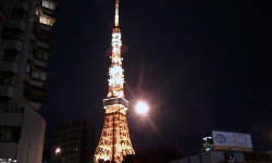 東京タワーの帰りは エスニックディナーで