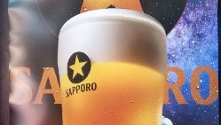 【ビール】毎日ビールが278円(税抜き)