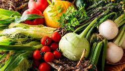 野菜は八ヶ岳の自家農園を使用し、旬の味覚をご提供！