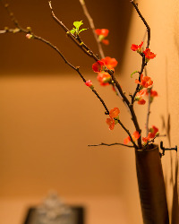 店内は京都の町家の風情が漂い、奥へ進むと季節の花が出迎える。