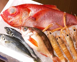 沼津港でその日にとれた鮮魚がいただけます