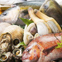 【新鮮魚介】 銚子や九十九里から毎朝直送する旬の魚介類