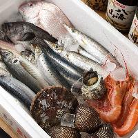 全国から仕入れた新鮮な魚介を、刺身や焼き物、煮物でご提供！