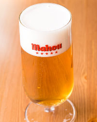 [マオウ樽生が飲める!] 東京で１０店舗しか飲めない生ビール！
