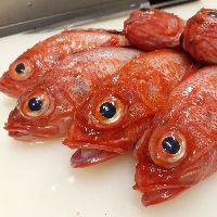 毎日、市場直送の新鮮な魚介類を使用。刺身、焼き魚で