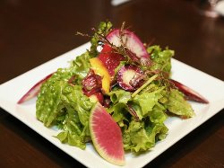 旬の新鮮野菜でつくる「矢島農園のサラダ」は瑞々しい味わい