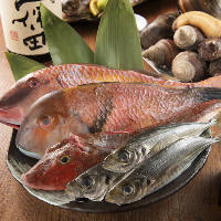 豊洲直送の新鮮魚介をお刺身や季節の一品でお召し上がりください
