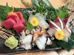 【旬の海鮮】 千葉県産ならではの美味しさが大集合！