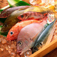 日本近海で採れた新鮮な海鮮・魚介類が勢ぞろい。柏での宴会に◎