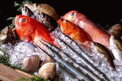 【漁港直送鮮魚使用】新鮮魚介を使用した自慢の料理を多数ご用意