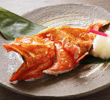 北海道の高級魚のキンキを炭焼き・煮付け・唐揚げでご用意！