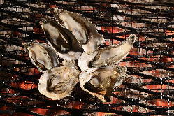 炉端で味わう毎日直送厚岸の牡蠣