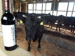 こだわりの黒毛和牛「赤ワイン牛」を使用しております。