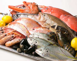 宿毛や函館の新鮮魚介など、厳選食材を使用したスペイン料理。