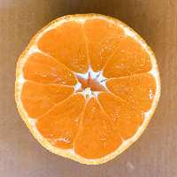 瀬戸内レモン・柑橘類ドリンクはビタミンたっぷり風邪予防にも