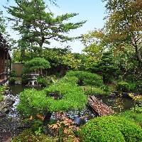 東山を借景とした青龍庭園を 眺めながら旬の京料理と湯豆腐を