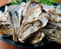 北海道厚岸産のブランド牡蠣をご用意！ぜひご賞味ください
