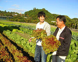 契約農家や自家菜園で育てられた野菜を使用