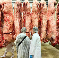 滋賀食肉センターより直送された近江牛を一頭買い！