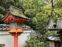 郷音が新たに目指した場所は、清荒神清澄寺の参道入口です。