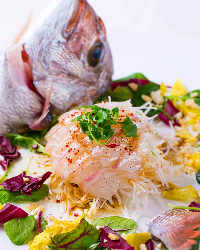 瀬戸内産鮮魚を使った料理も人気です。