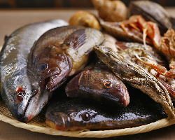 こだわりの鮮魚 北海道から直送の新鮮な鮮魚の数々！