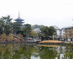 近くには、興福寺や春日大社などの観光スポットが多数ございます