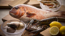 日本屈指の好漁場『豊後水道』直送の鮮魚が多数