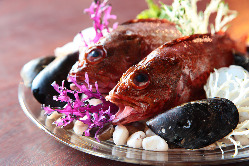 高知漁港より直送の新鮮なお魚など食材にこだわりあり！