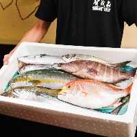 九州から毎日仕入れる海鮮。刺身・干物をアテにぐいっと一杯！