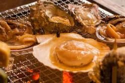 囲炉裏で楽しむ海鮮料理！厳選された食材をご堪能ください。