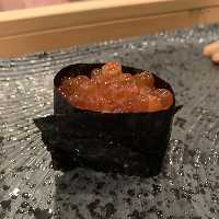 齏 肽 kVn Sushi Orita Kitashinchi̎ʐ^13