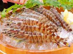 車海老、季節の鮮魚毎日入荷！